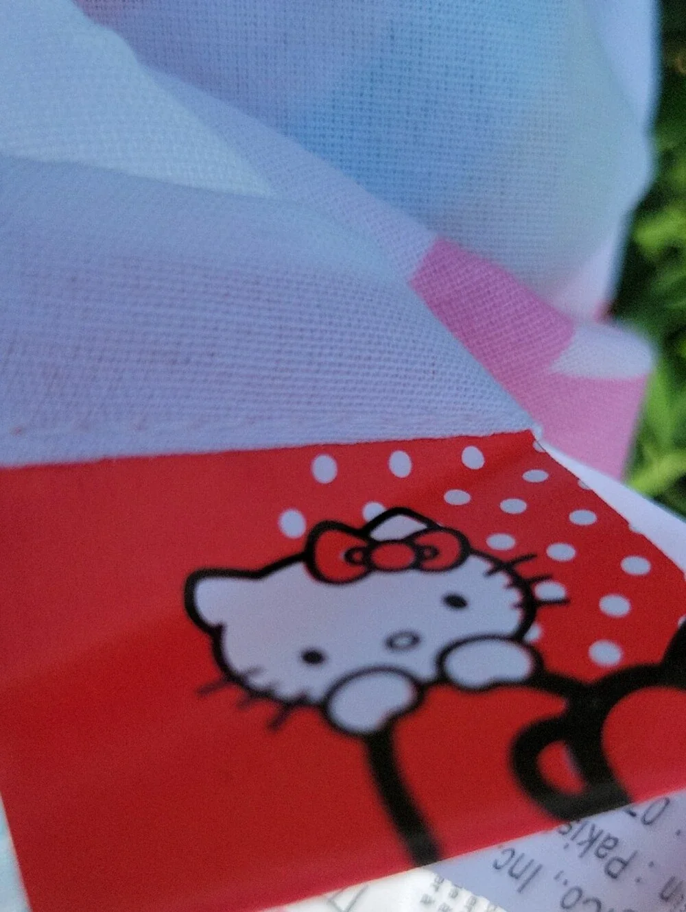 Hello Kitty hello kitty